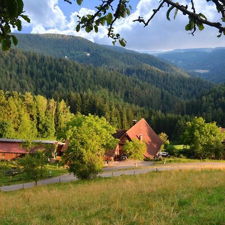 Hansjoergenhof Bioland-Hof Schiltach Bagian luar foto