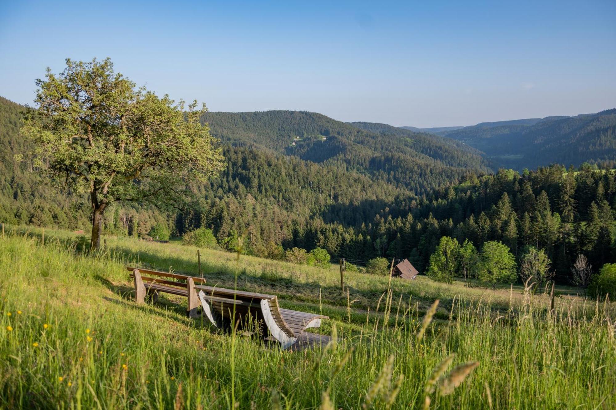 Hansjoergenhof Bioland-Hof Schiltach Bagian luar foto