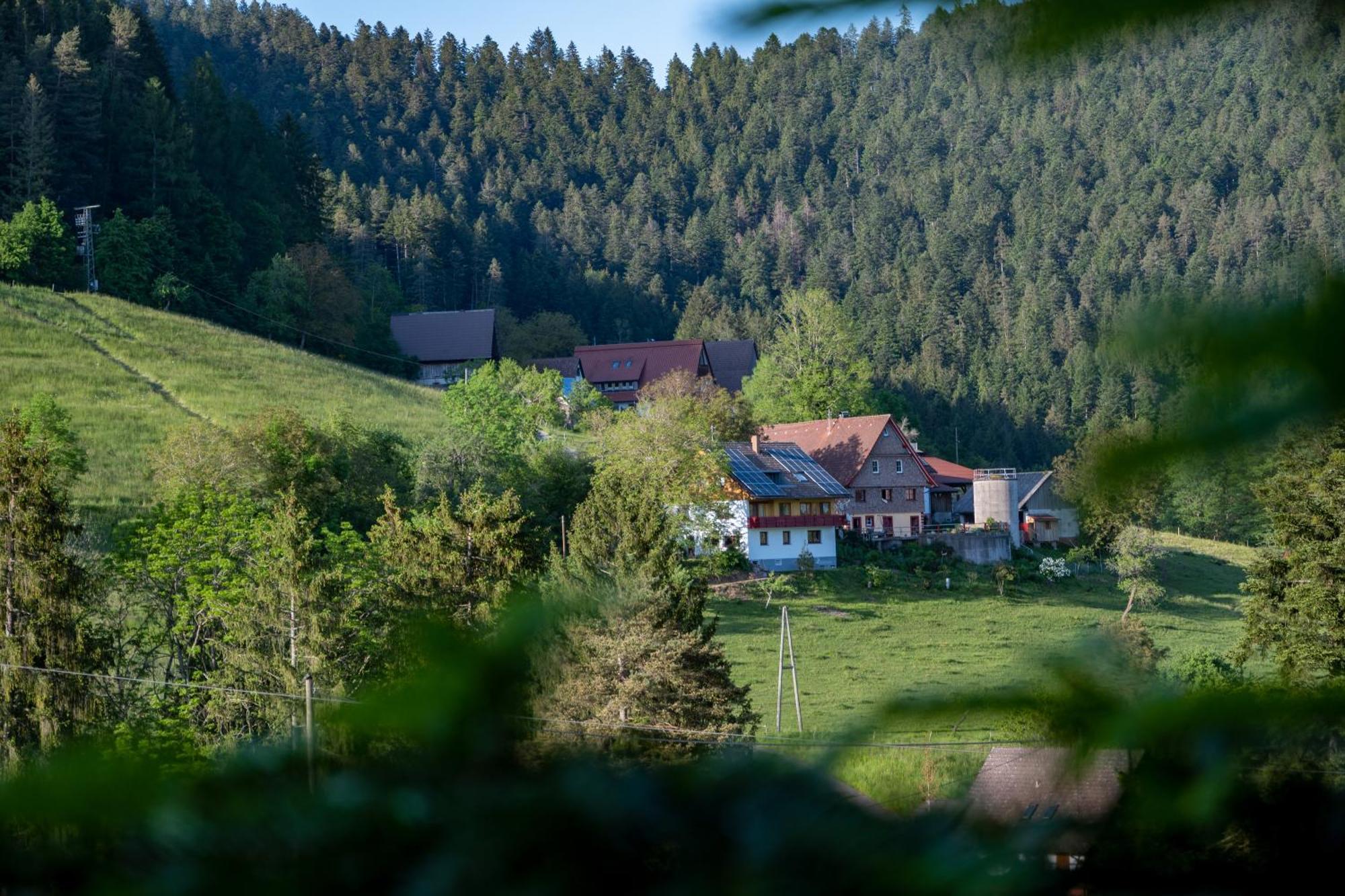 Hansjoergenhof Bioland-Hof Schiltach Bagian luar foto